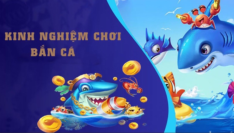 Bỏ túi với những kinh nghiệm vàng từ cao thủ
